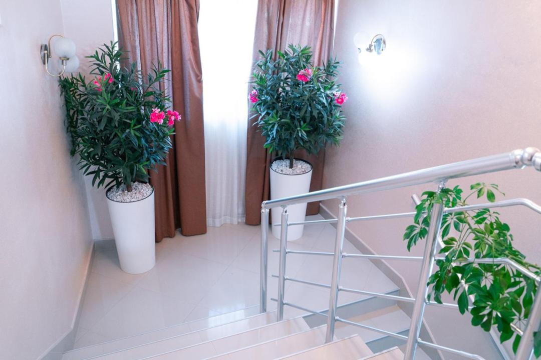 Hotel Zeleni Vir Nisz Zewnętrze zdjęcie